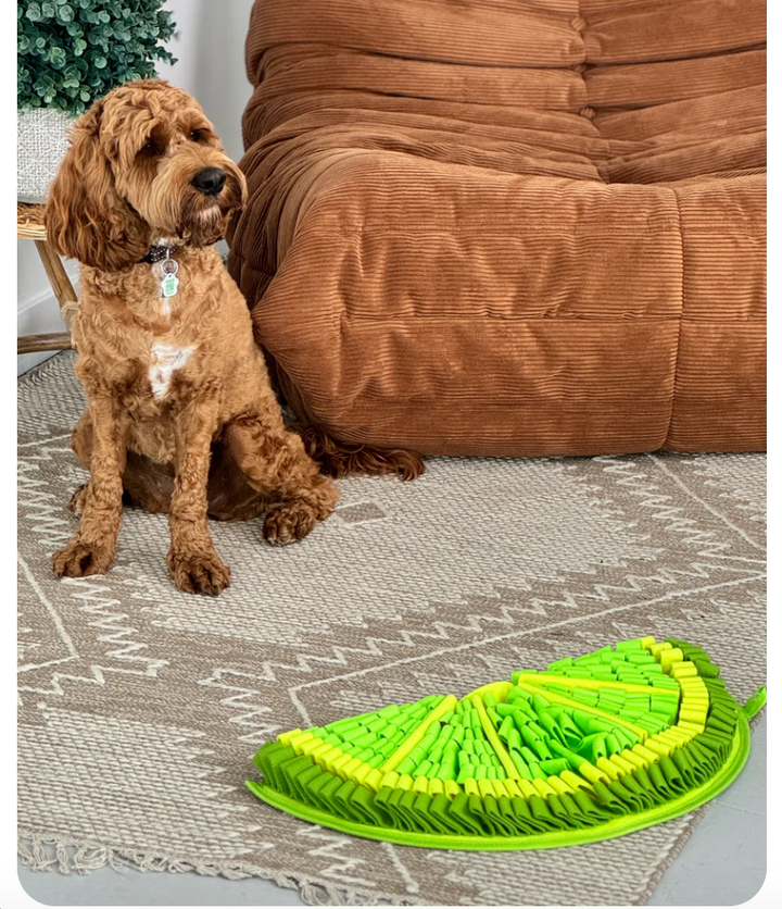 Zesty Lime Snuffle Mat