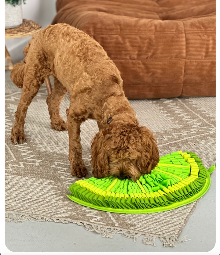 Zesty Lime Snuffle Mat