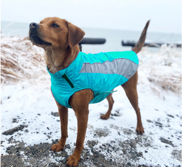 Saginaw Bay Dog Fleece