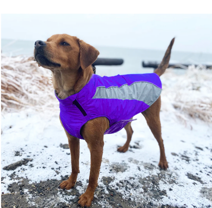 Saginaw Bay Dog Fleece