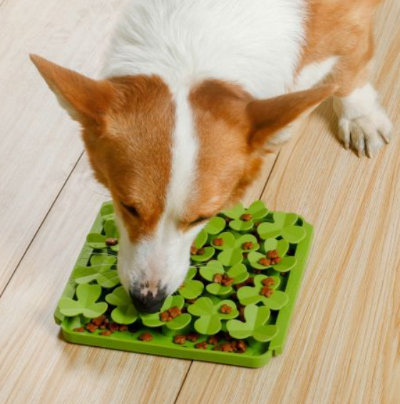 Foraging Mats