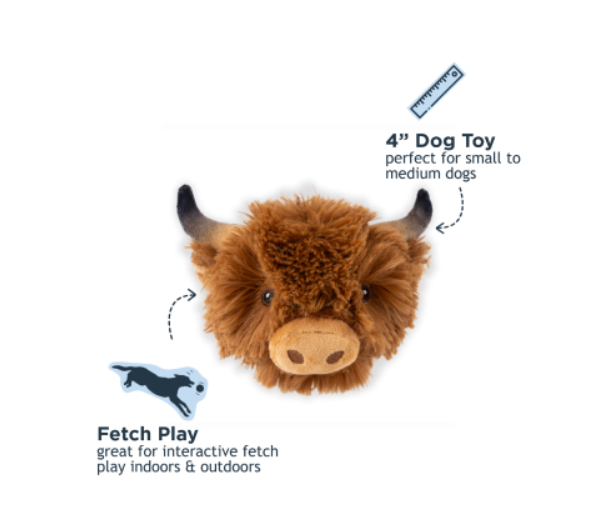 2in1 Fetch Ball