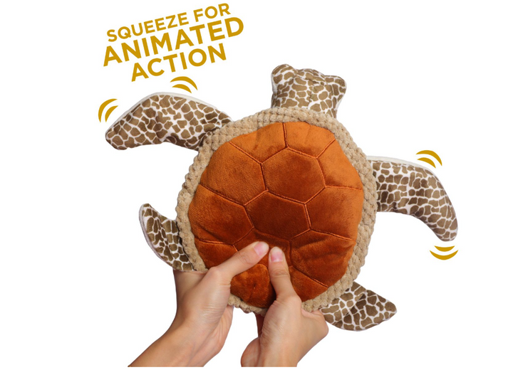 Animated Sea Turtle