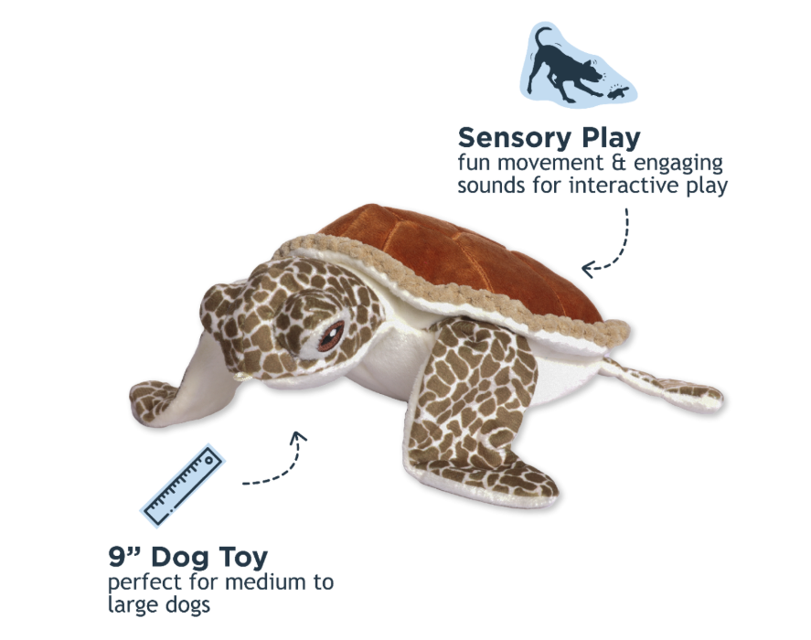 Animated Sea Turtle