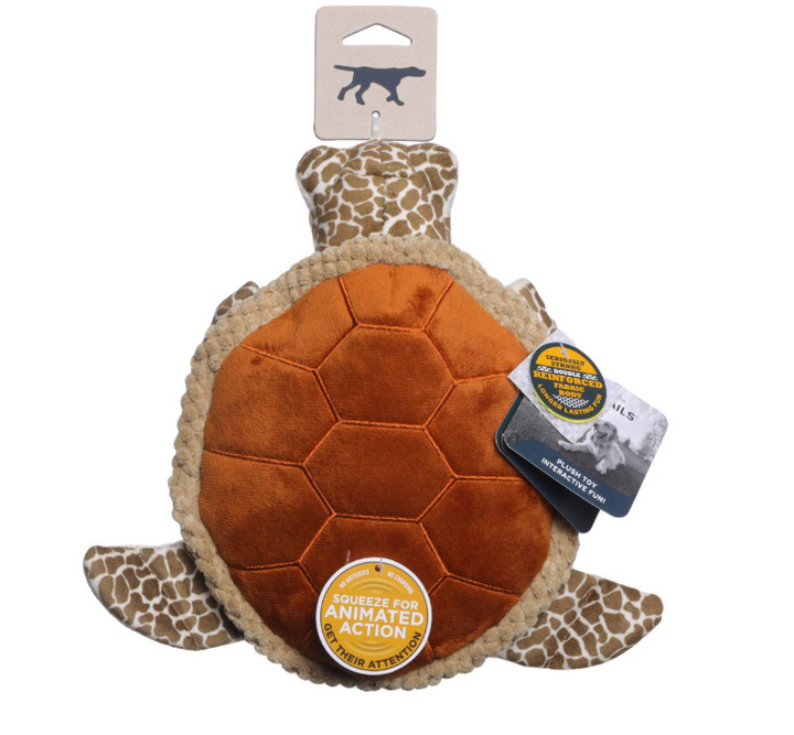 Animated Sea Turtle