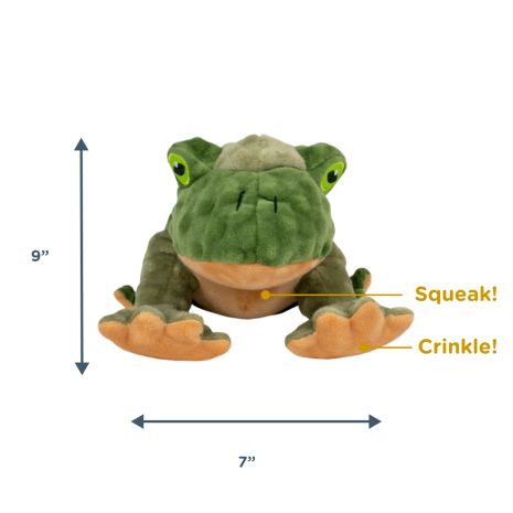 Animated Frog Toy