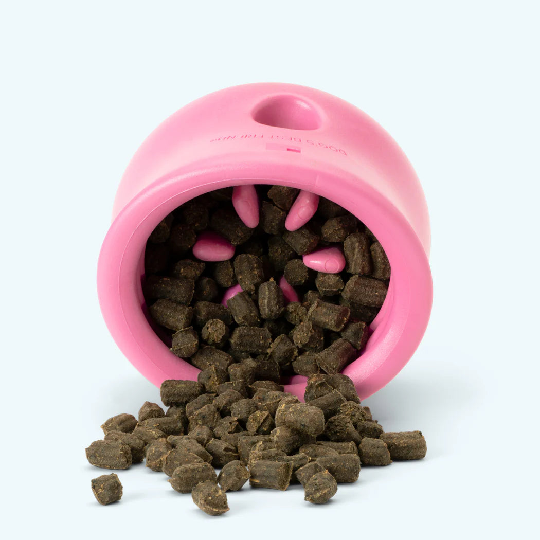 Toppl Puzzl Toy