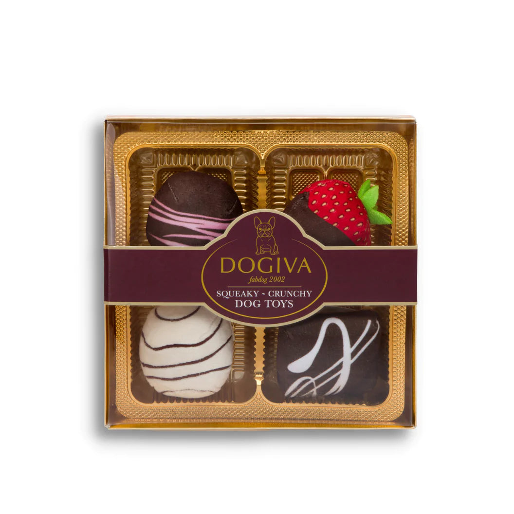Dogiva Box of Chocolates