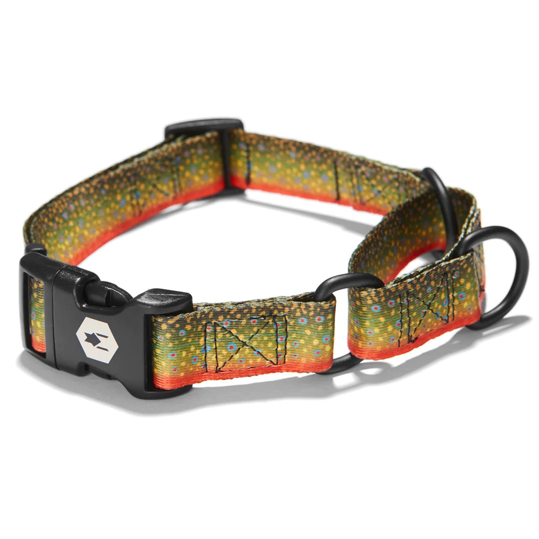 Brooktrout Martingale Collar